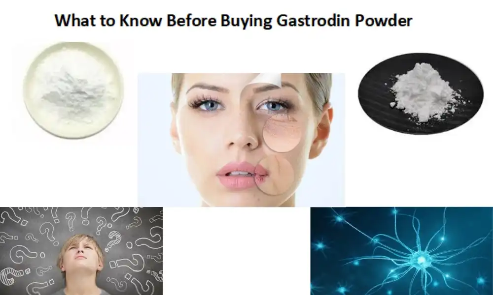 What to Know Before Buying Gastrodin Powder？